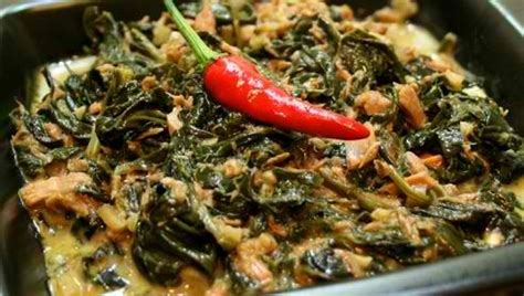 kantutan sa bicol|Mga BIKOLANO: Kabuuang Pagsusuri .